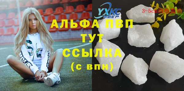 PSILOCYBIN Абдулино