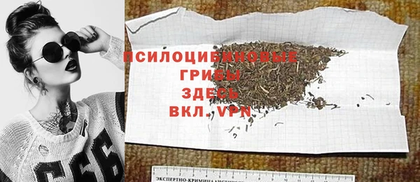 герыч Алексин