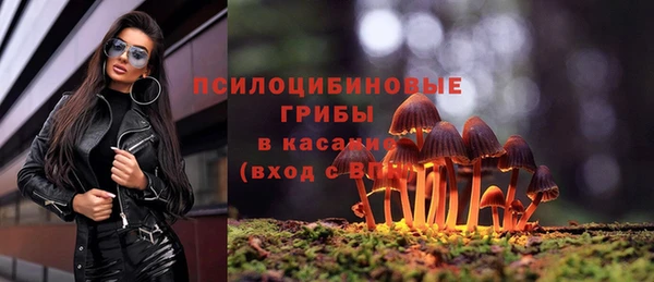 герыч Алексин