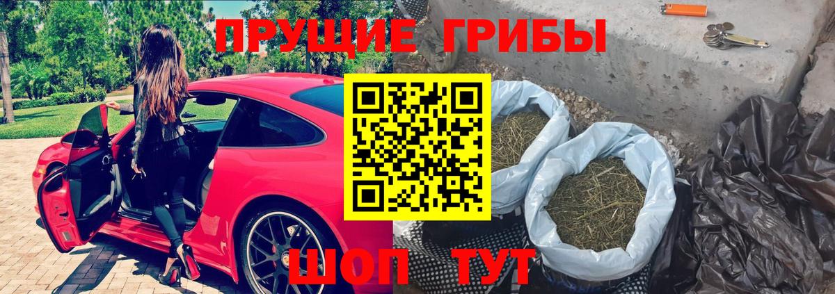 Псилоцибиновые грибы Psilocybine cubensis  Вход с VPN  Нягань  Галлюциногенные грибы мухоморы 