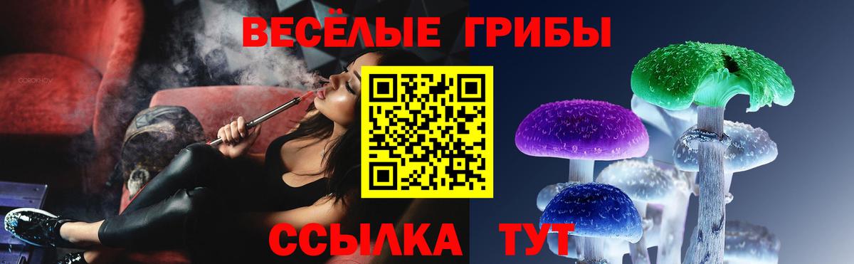 Галлюциногенные грибы Psilocybine cubensis Нягань